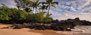 Hawaii beach sand and water